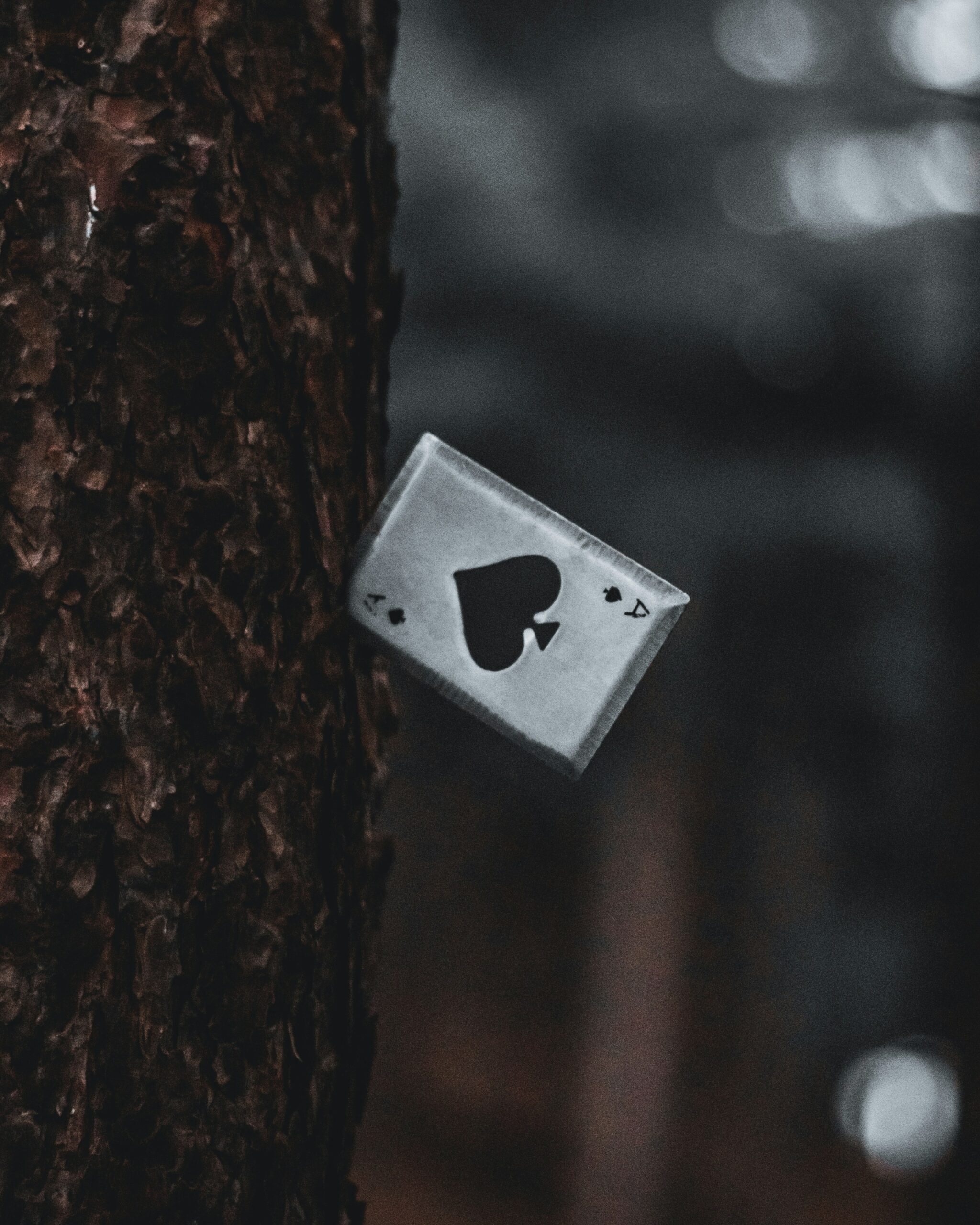 bobby-gillespie-v_HbTedh1VQ-unsplash